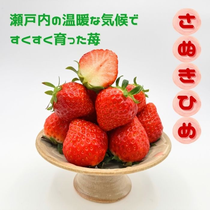 【期間限定】さぬきひめ 化粧箱 美味いちご園