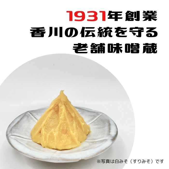 イヅツ白味噌 粒味噌 10㎏