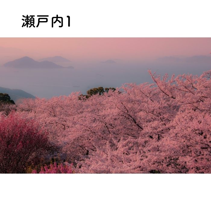 写画流【無垢額縁】 瀬戸内写真×手すき和紙