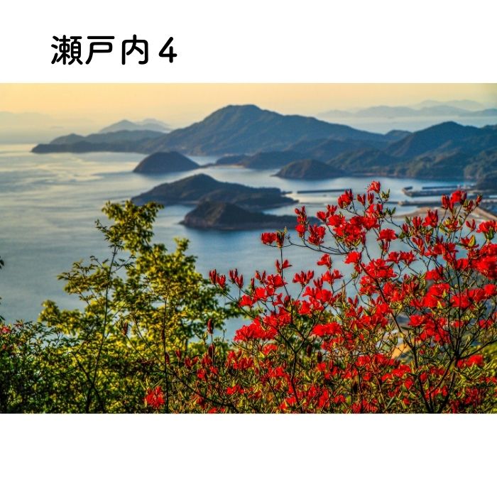 写画流【漆額縁】 瀬戸内写真×手すき和紙