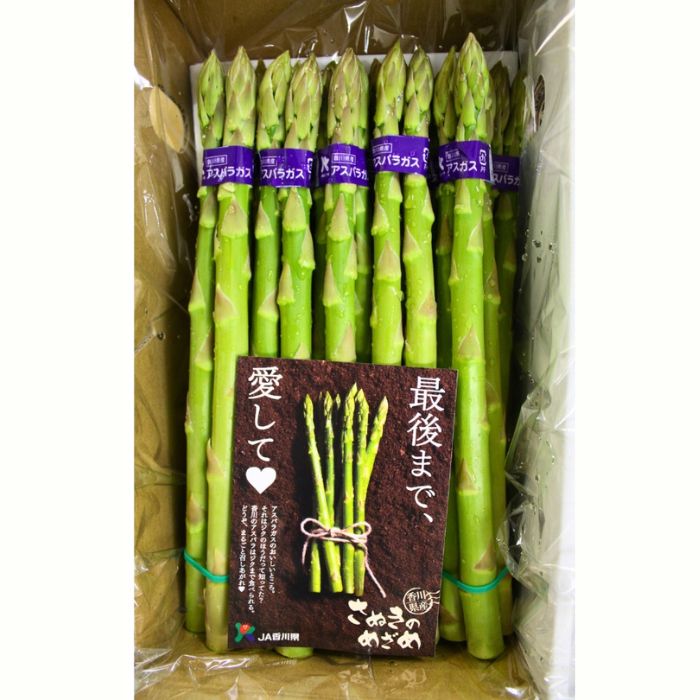 ブランドアスパラガス 『 さぬきのめざめ 』夏芽 Lサイズ(約30㎝)