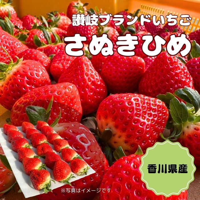 【期間限定】さぬきひめ 化粧箱 美味いちご園