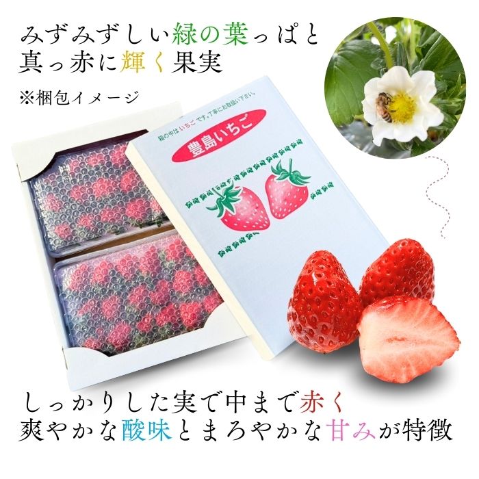 【期間限定 ~5/6受注分迄】豊島いちご 大粒12~18粒×2パック