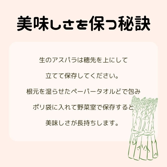 ブランドアスパラガス 『 さぬきのめざめ 』夏芽 Lサイズ(約30㎝)