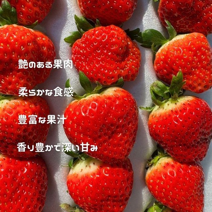 【期間限定】さぬきひめ 化粧箱 美味いちご園