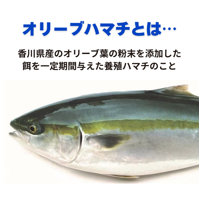 オリーブハマチ（三枚おろし）